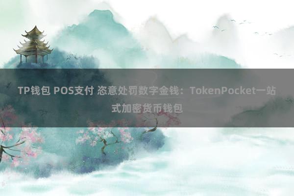 TP钱包 POS支付 恣意处罚数字金钱：TokenPocket一站式加密货币钱包